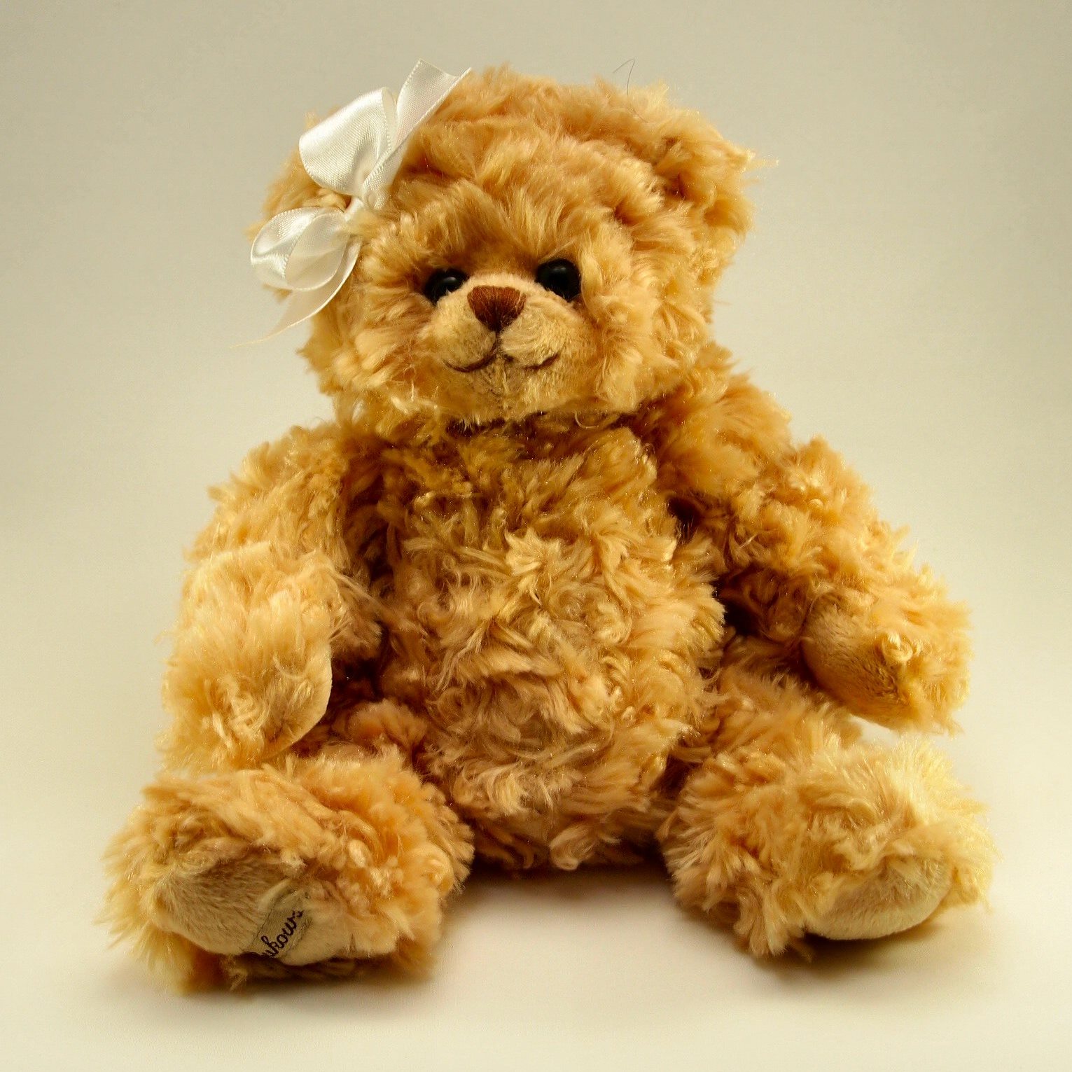 テディベア シャンティー Teddy Bear Shanti テディベア シャンティー Teddy Bear Shanti