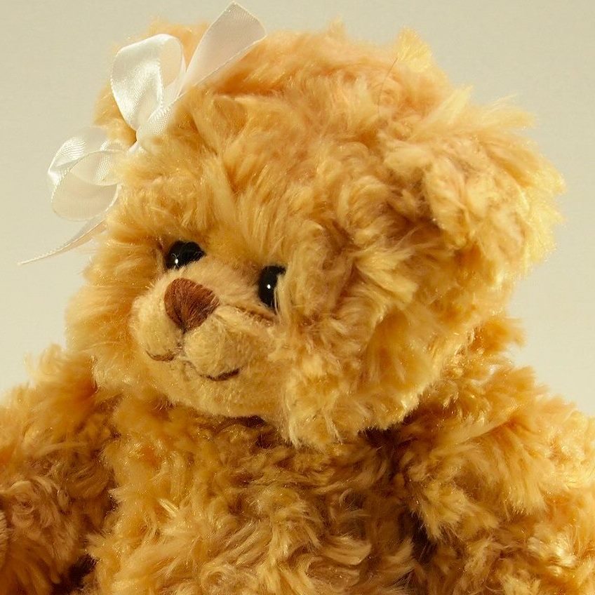 テディベア シャンティー Teddy Bear Shanti テディベア シャンティー Teddy Bear Shanti